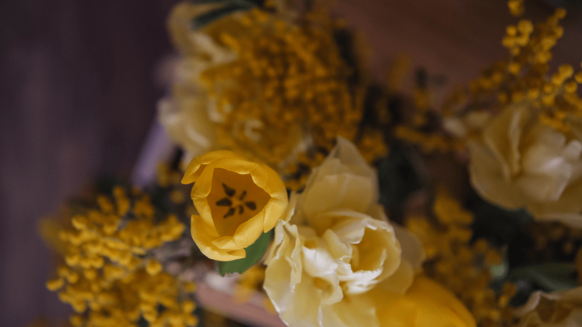 New Bloom: Where Flowers Become Fragrance - Read Fragrances