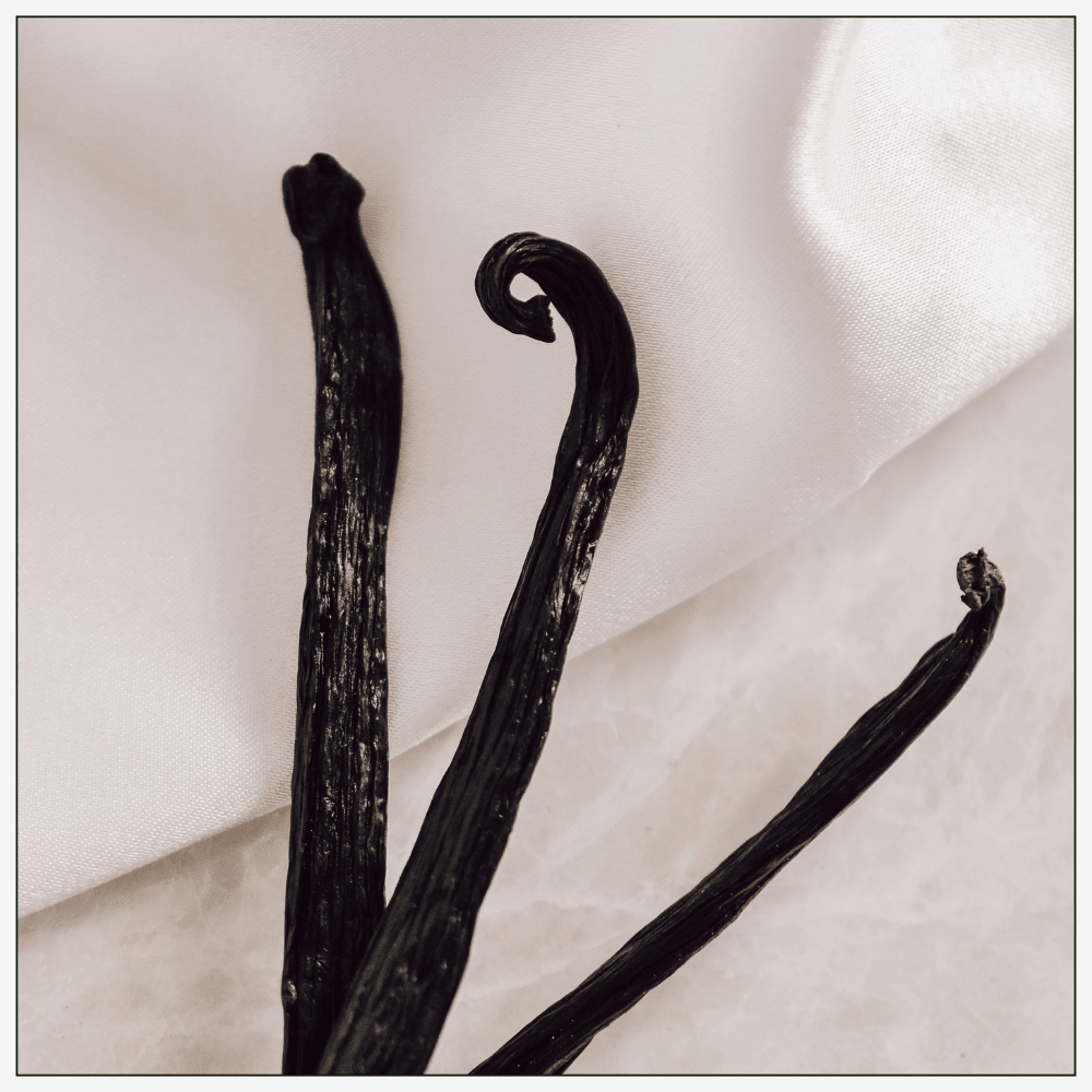 Wild Mimosa - Eau de Parfum - 50 ml - Base Note - Vanilla