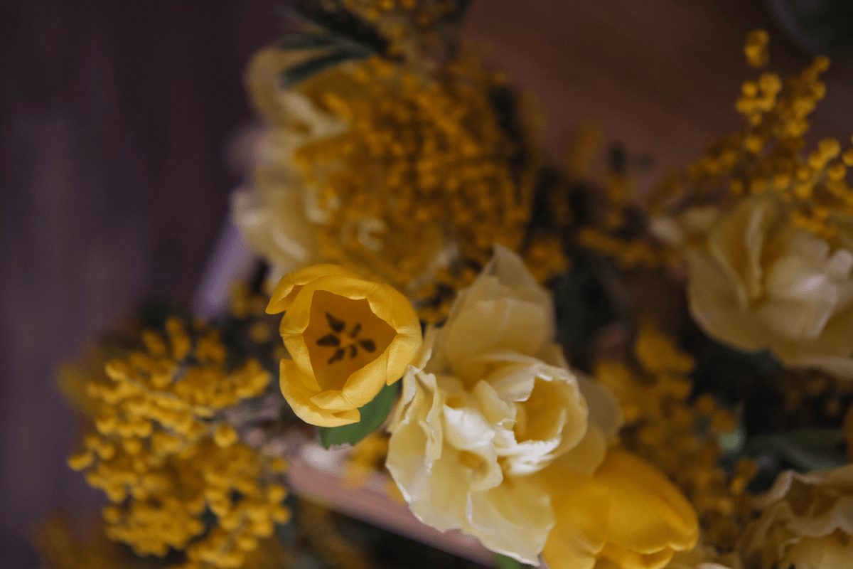 New Bloom: Where Flowers Become Fragrance - Read Fragrances