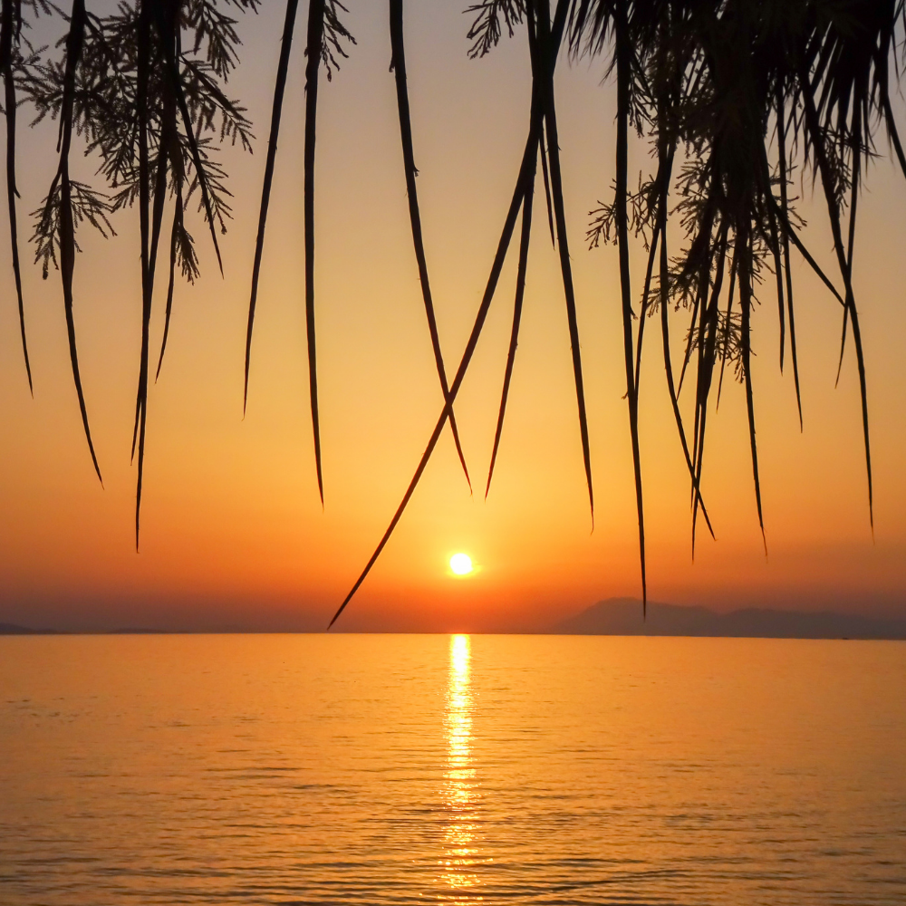 orange sunset