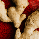 Suede Tempo - Read Fragrances by Love Magia Inc