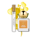 Wild Mimosa - Read Fragrances by Love Magia Inc